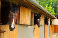 free Berners Cross stable construction quotes